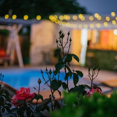 Vila Primavera Vama Veche Dış mekan fotoğraf