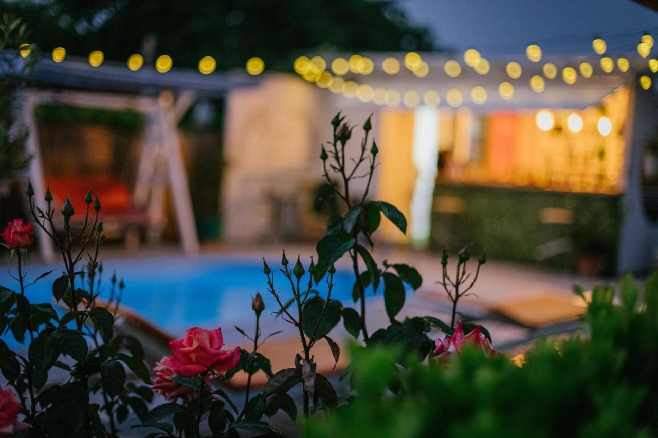 Vila Primavera Vama Veche Dış mekan fotoğraf