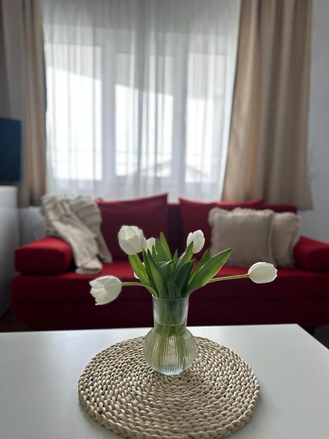 Vila Primavera Vama Veche Dış mekan fotoğraf