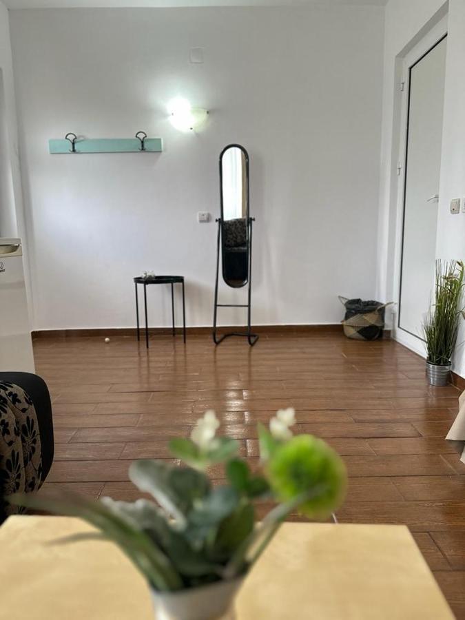 Vila Primavera Vama Veche Dış mekan fotoğraf